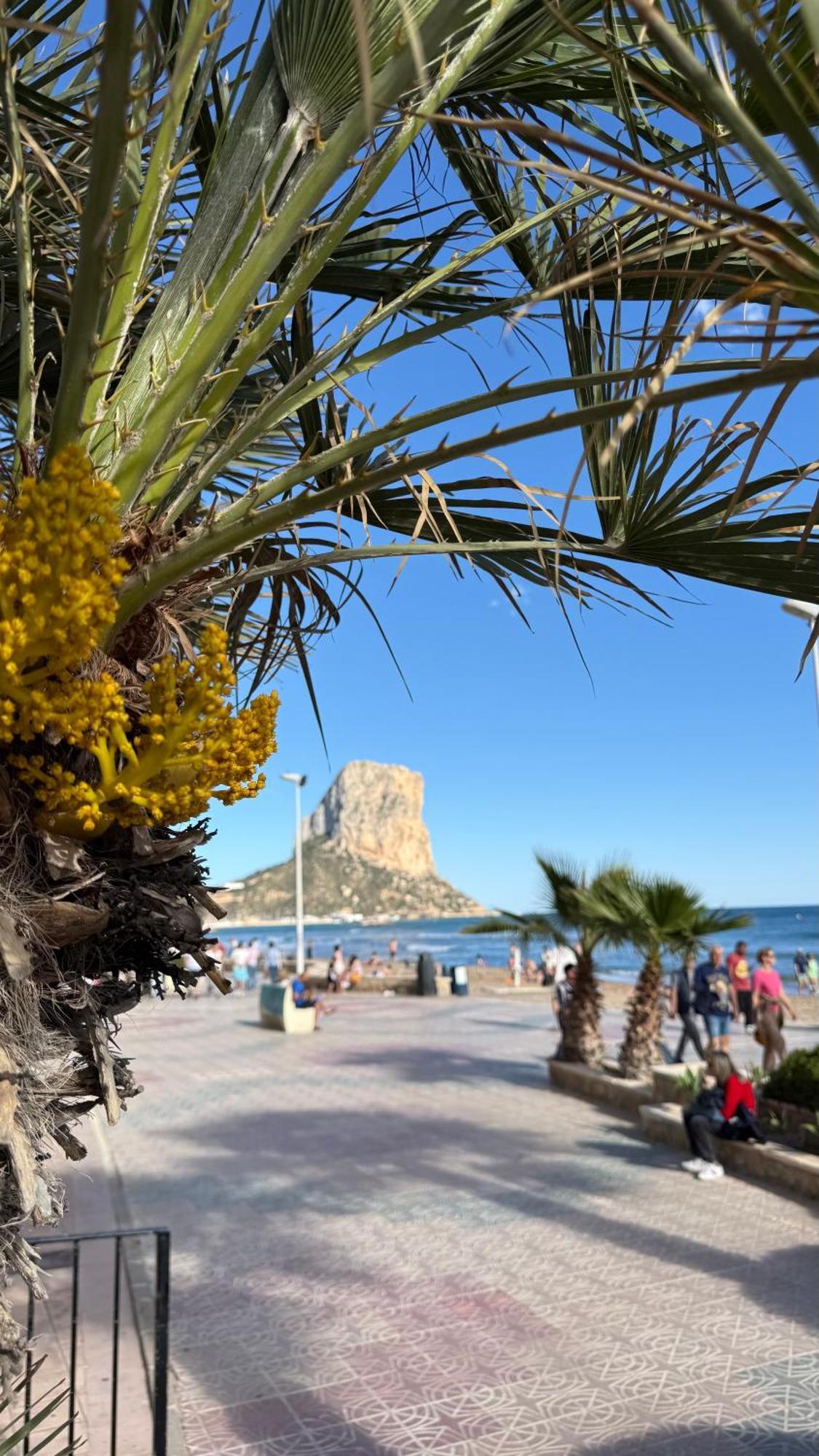 Esmeralda Suites Sunrise Con Piscina Calp Dış mekan fotoğraf