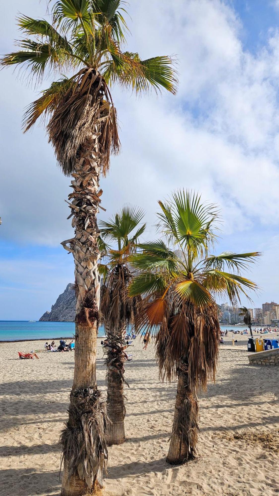 Esmeralda Suites Sunrise Con Piscina Calp Dış mekan fotoğraf